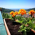 La Terrazza Sui Fieschi Cogorno