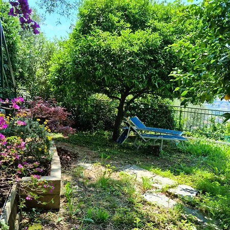 La Terrazza Sui Fieschi Cogorno