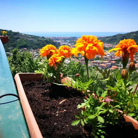 La Terrazza Sui Fieschi Cogorno
