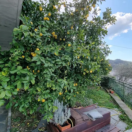 Frühstückspension La Terrazza Sui Fieschi Cogorno