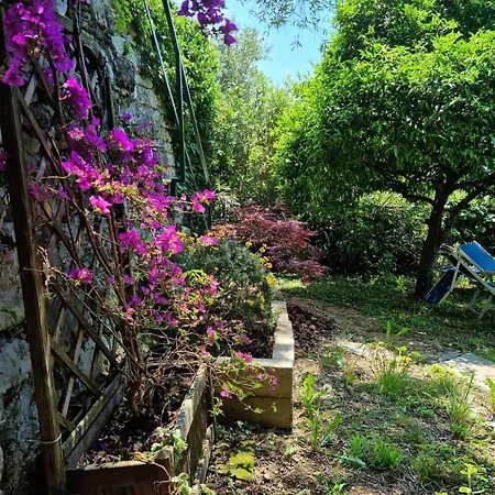 La Terrazza Sui Fieschi 3*